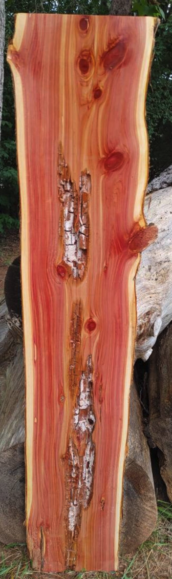 locally sourced cedar, spalted
